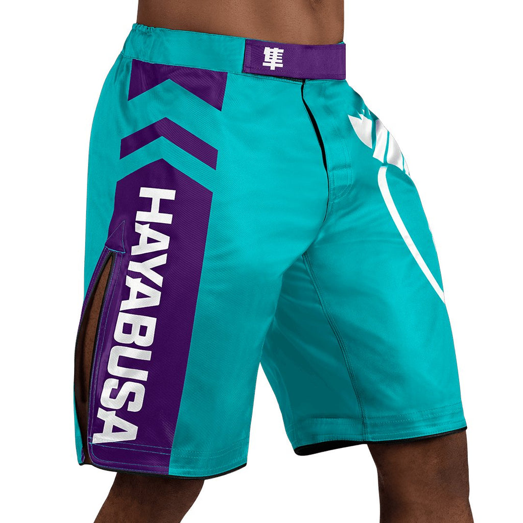 HAYABUSA Icon Fight Shorts - mmafightshop.ae