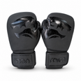 Raion Elite Boxing GLoves