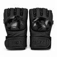 Raion Elite MMA Gloves