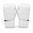 Raion Elite Boxing GLoves