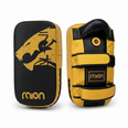 Raion Pauo Thai Pads