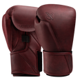 Hayabusa T360 Boxing Gloves