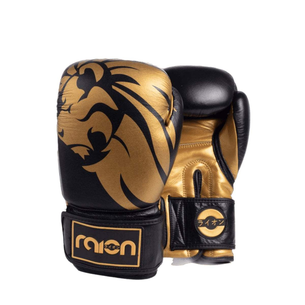 RAION BOXING GLOVES | Boxing Gloves | Training | Sparring Gloves | Safe and Comfy - mmafightshop.ae