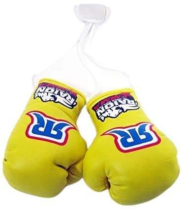Raion mini boxing gloves - mmafightshop.ae