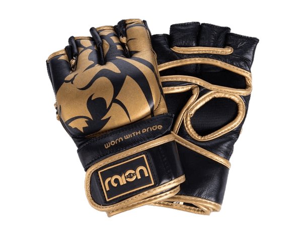 RAION MMA GLOVES | Boxing Gloves | Training | Sparring Gloves | Safe and Comfy - mmafightshop.ae