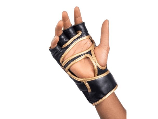 RAION MMA GLOVES | Boxing Gloves | Training | Sparring Gloves | Safe and Comfy - mmafightshop.ae