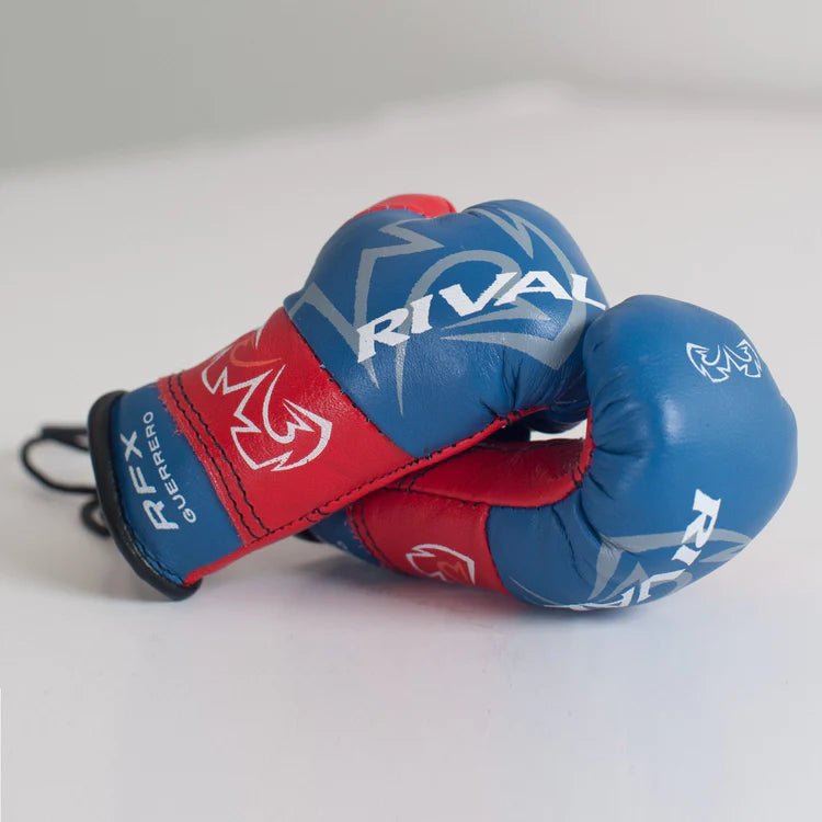 Car hotsell boxing gloves